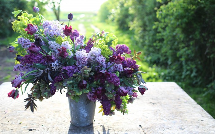 Il bouquet include: lillà, viburno pallone, euforbia, foglie di sambuco nero, elleboro e tulipani neri.