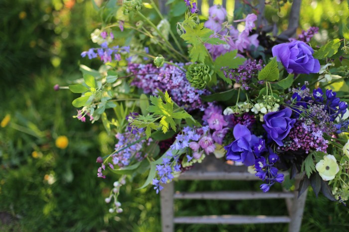 bouquet di lillà