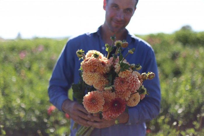 Fattoria dei Fiori Floret Dahlie