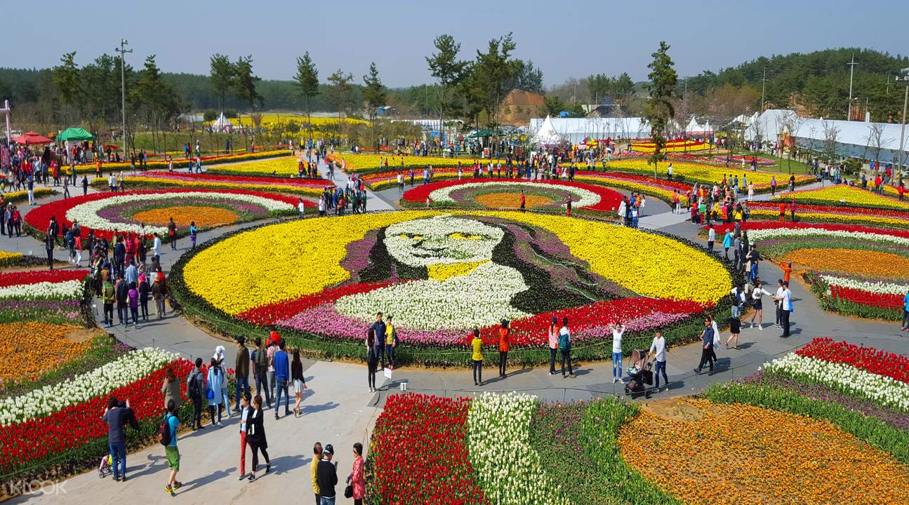 Migliori festival di fiori