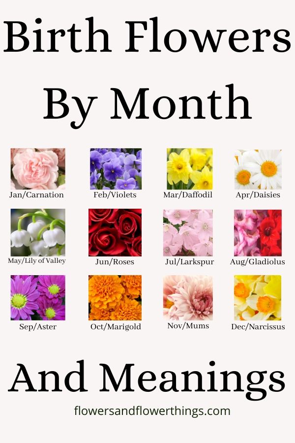 Fiori di nascita per mese e significato