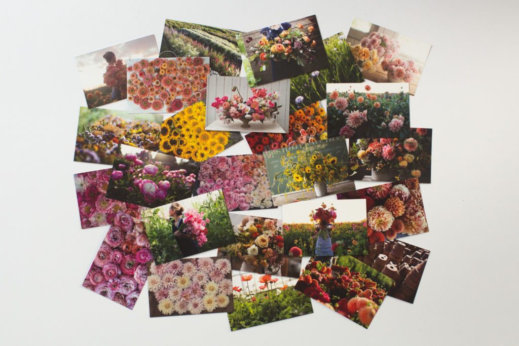 Floret_Postcards-01