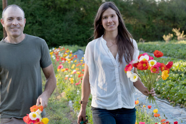 Mandy e Steve O'Shea a 3 Porch Farm