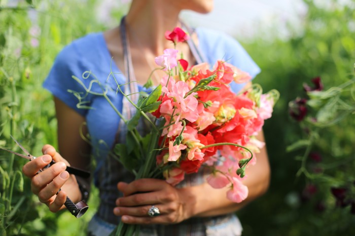 Piselli dolci di Floret