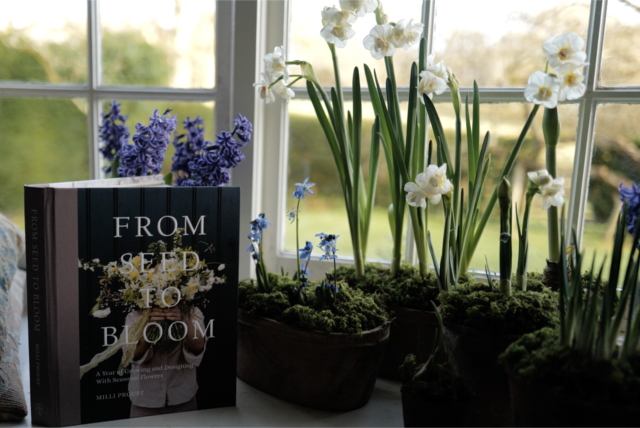 Libro From Seed to Bloom sul davanzale