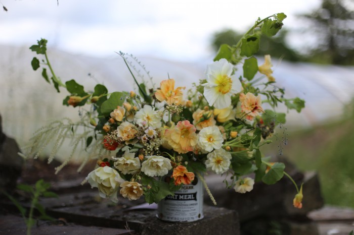 Il bouquet include: papaveri islandesi, vite e fiori di nasturzio 'gleam', aruncus, thalictrum, rosa 'ghislaine de feligonde' e non ti scordar di me