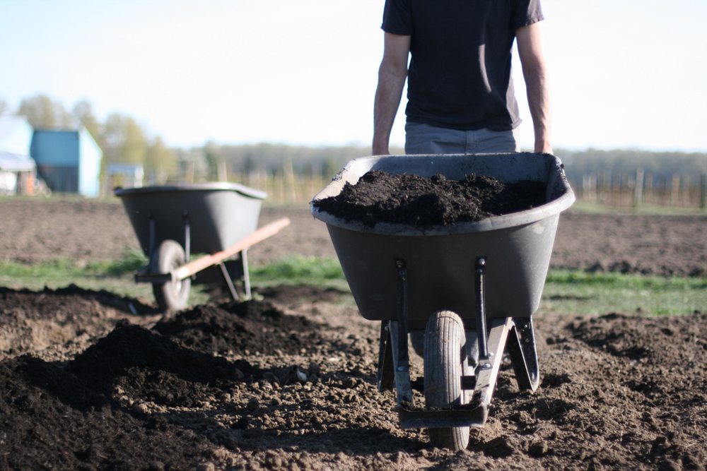 Preparazione del suolo e dei letti di Floret