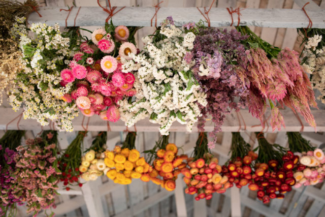 Fiori essiccati appesi al soffitto di Floret