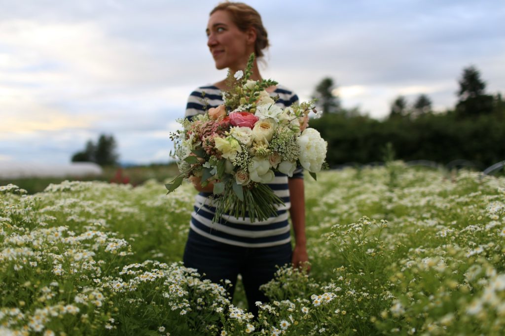 feverfew