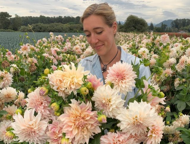 Un anno di fiori