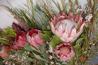 Protea King con Protea Fiesta, Red Baron e Susara